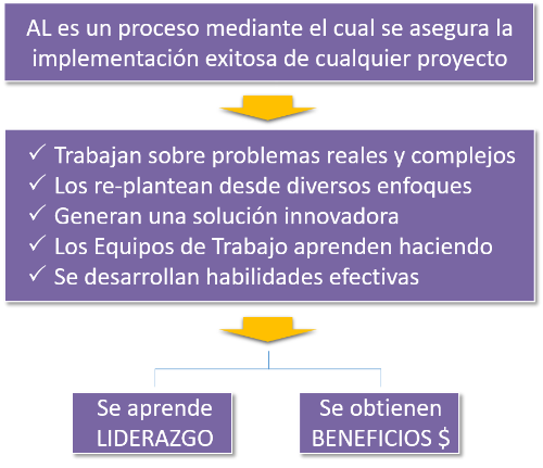 Que es Action Learning